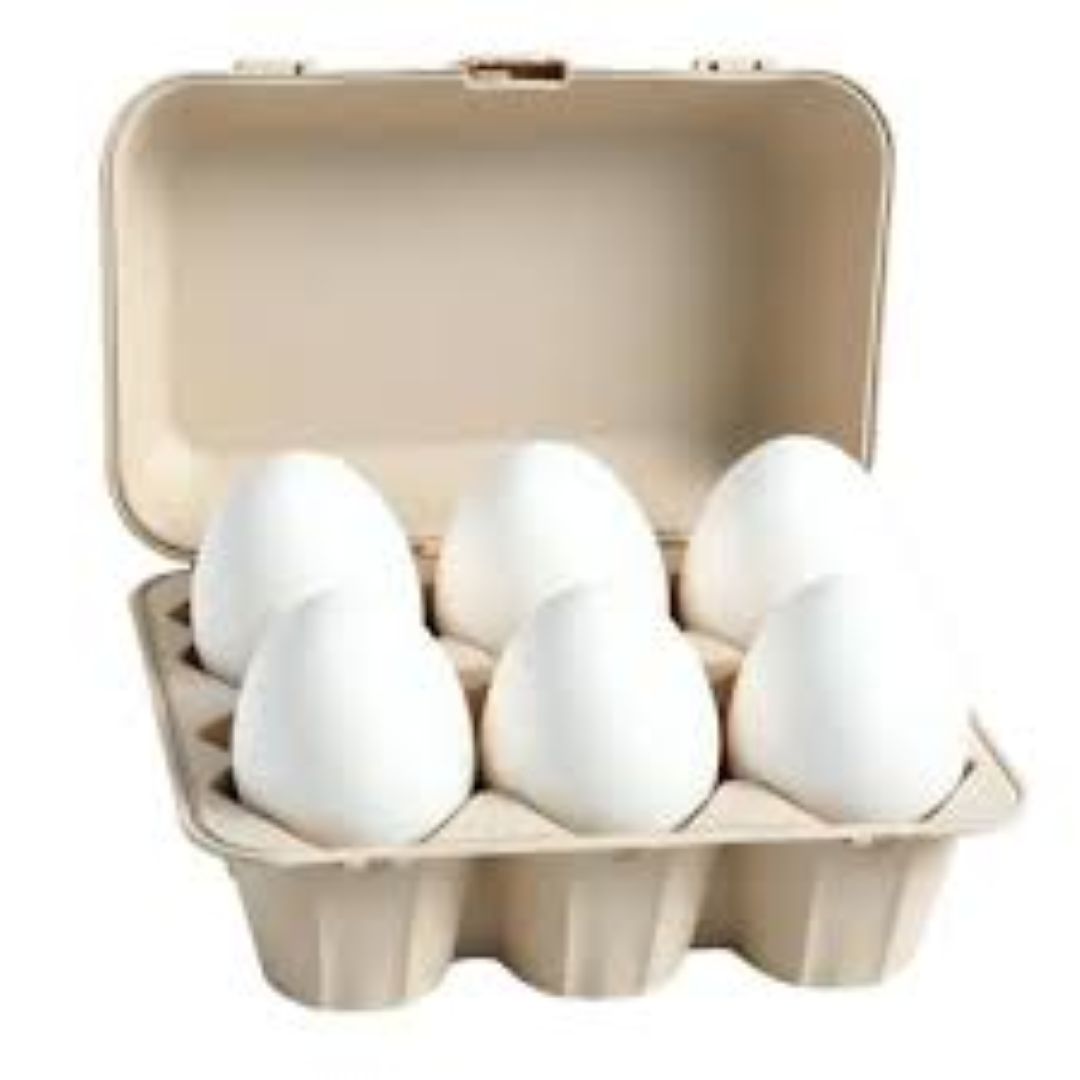 IDEAL EGGS 6PACK